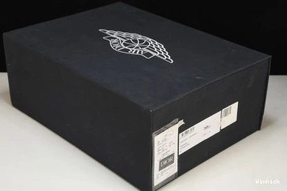 X JORDAN AIR DR LOW 1 553668-998 1210